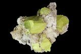 Sulfur Crystals on Matrix - Italy #92616-1